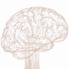 NexusFlow 
